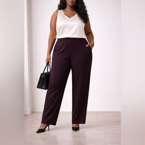 Eileen Fisher Cassis Stretch Career Pants 3X Luxe Minimalist Executive Essential
